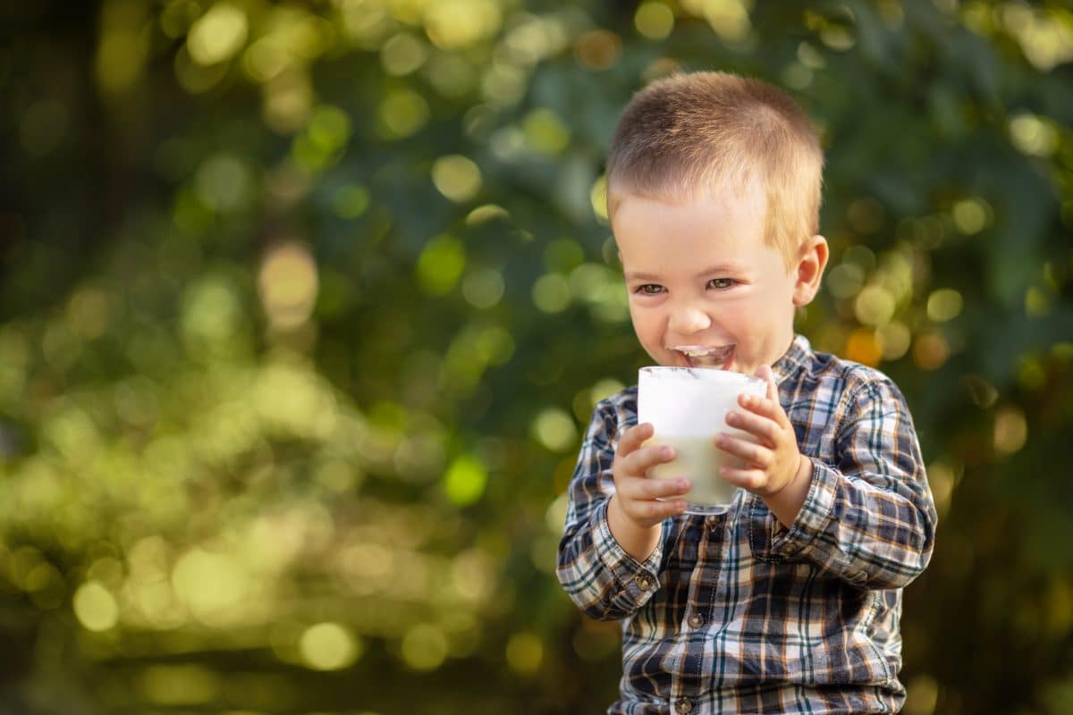 Consommation de protéines pendant l’enfance, croissance et adiposité