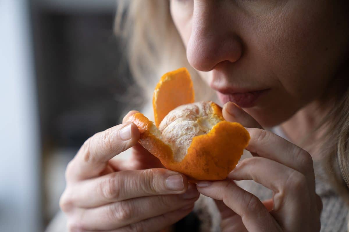 JFN 2022 - Troubles sensoriels et alimentation