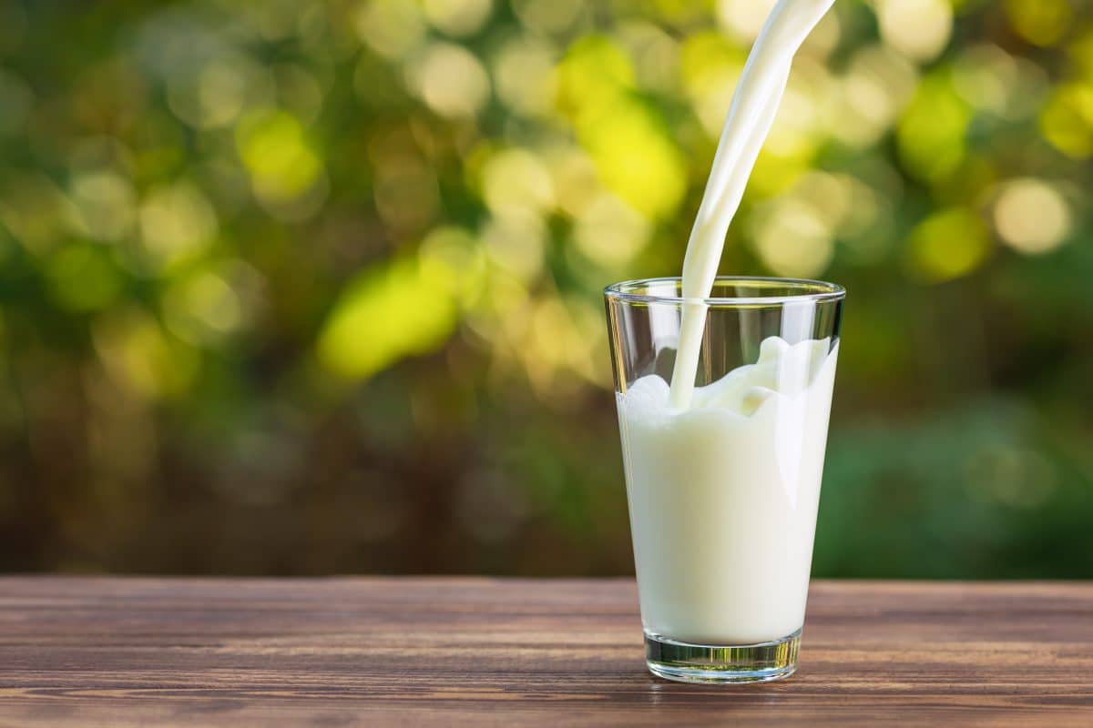 Jus végétaux vs lait de vache : pas d’équivalence