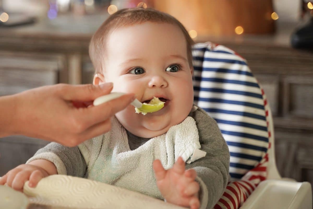 Age de la diversification alimentaire en France et facteurs socio-économiques