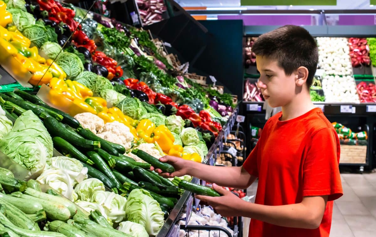 Avis 84 du CNA – éducation à l’alimentation