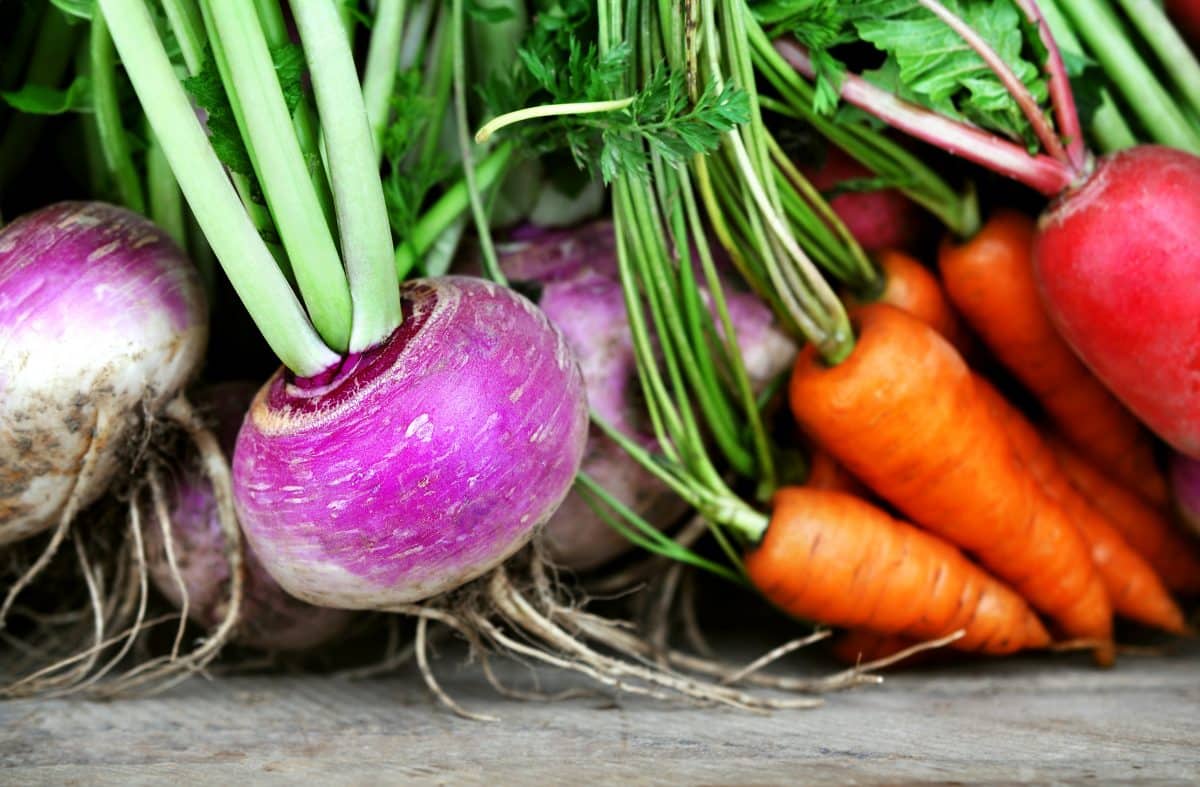 Programme National pour l'Alimentation : 6e édition de l'appel à projets