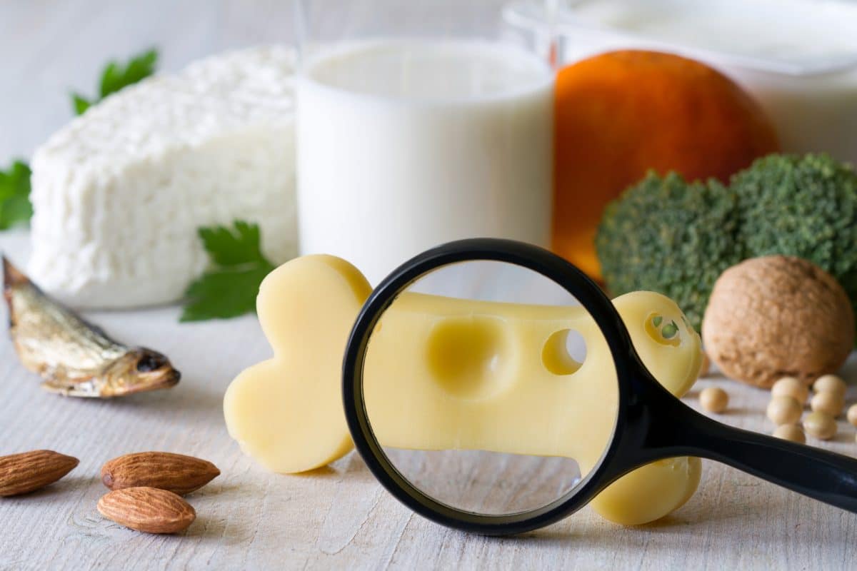 Effet matrice : liens entre les produits laitiers et la santé musculo-squelettique