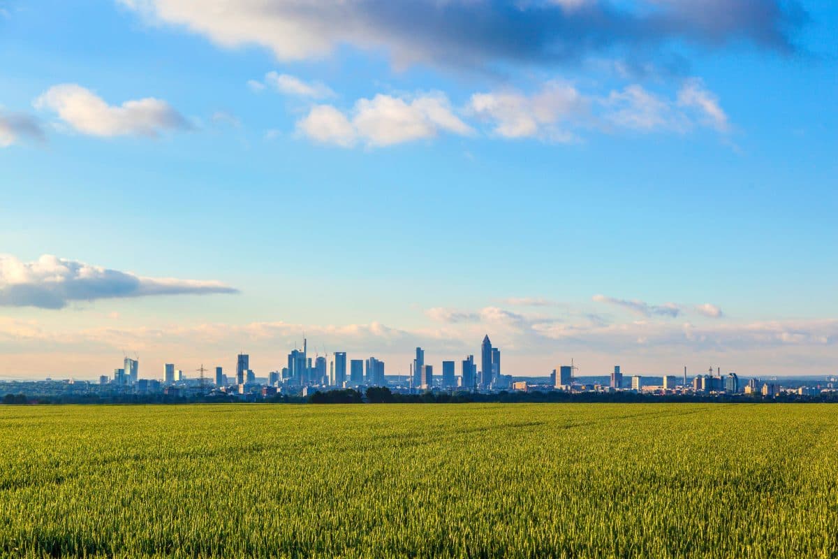 Liens entre zones urbaines et rurales au service de la nutrition