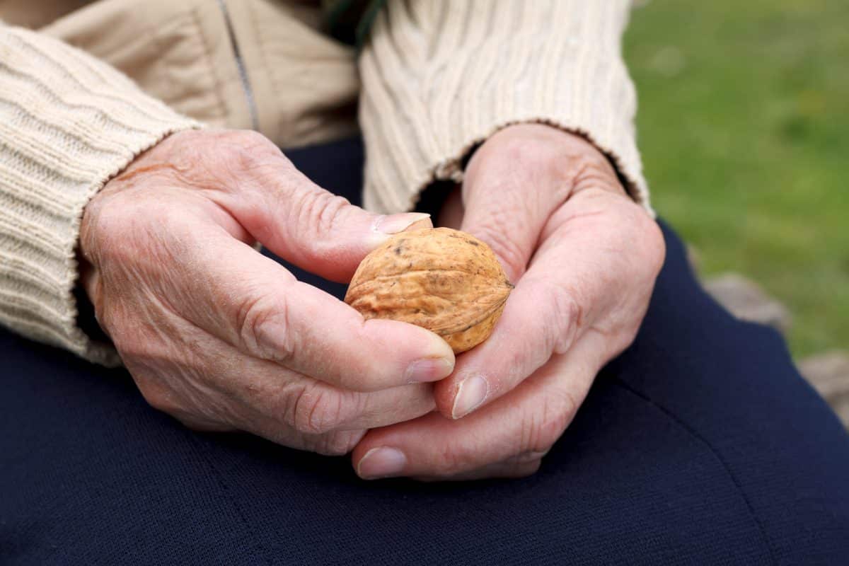 Allergies alimentaires chez les seniors