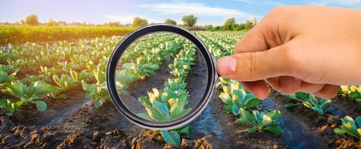 Exposition cumulée aux pesticides