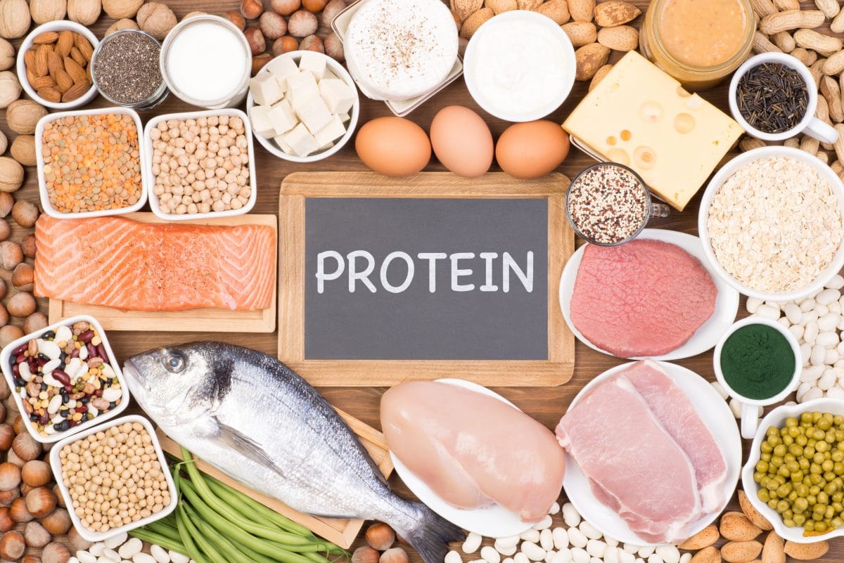 JFN 2020 : focus sur les protéines