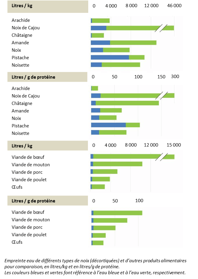 Consommation de fruits à coques et d’arachides : quels effets sur l’environnement ?