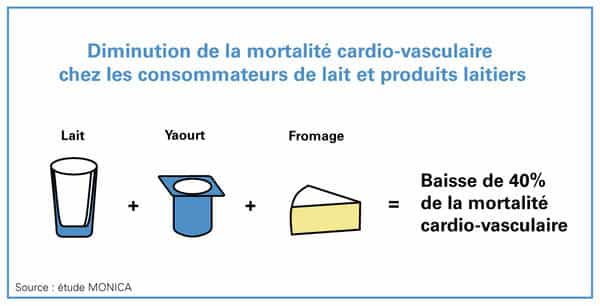 lait et produits laitiers diminuent la mortalité cardiovasculaire