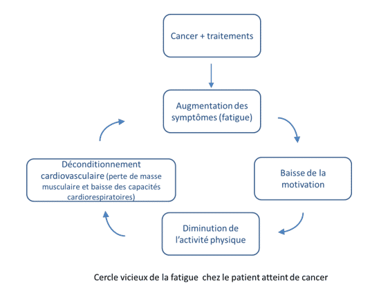 L’activité physique adaptée : définition et intérêts