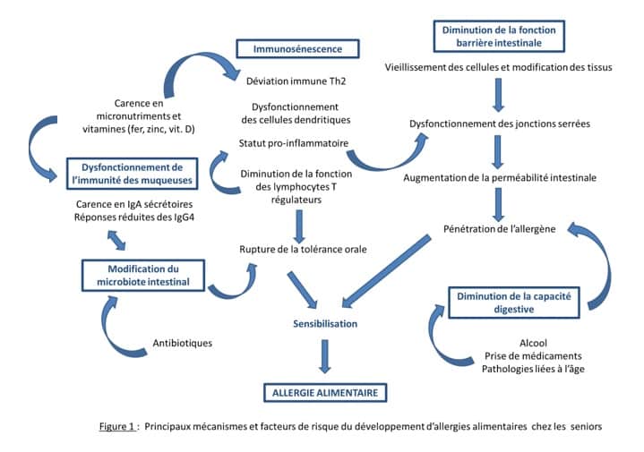 Allergies alimentaires chez les seniors