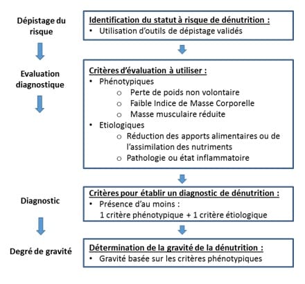 Dénutrition chez l’adulte : un consensus international