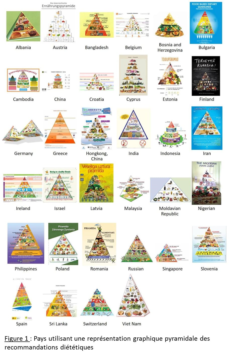 Les recommandations alimentaires à travers le monde