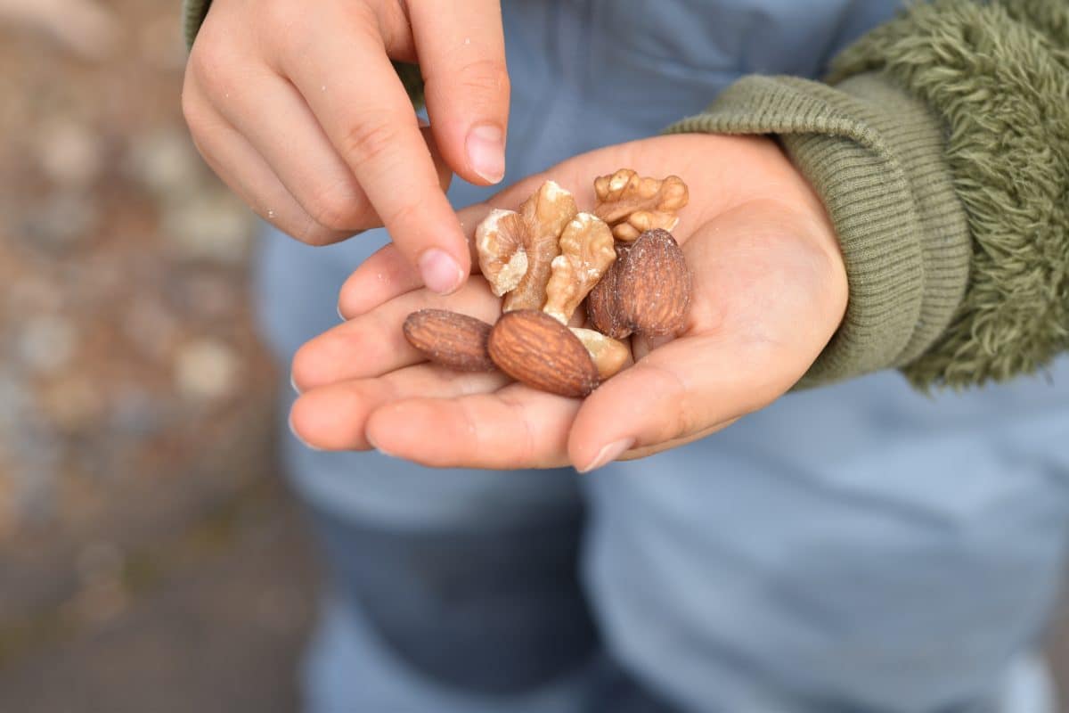 Allergies aux fruits à coque chez le jeune enfant