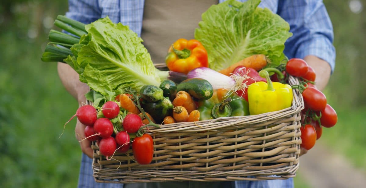 Alimentation locale : pas forcément durable !