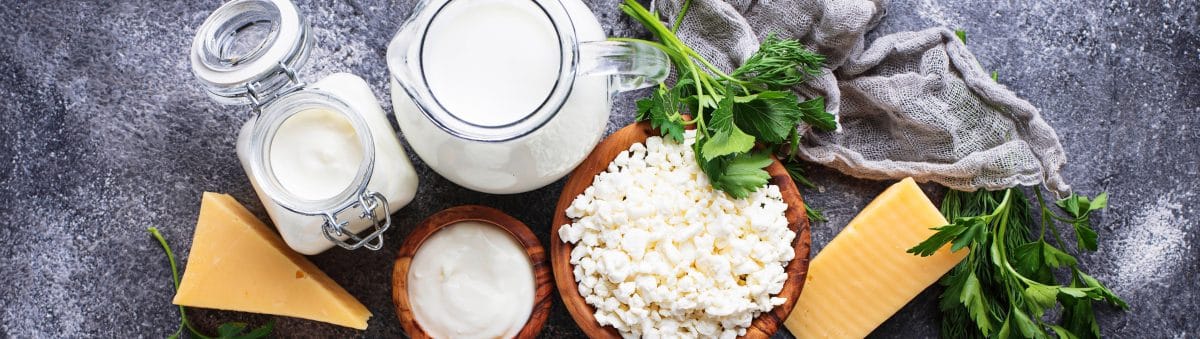 Protéines laitières et activité antitumorale