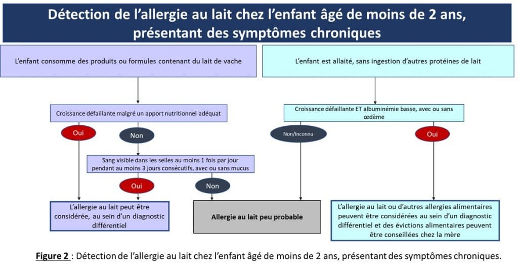 Diagnostic et prise en charge de l'allergie aux protéines ...