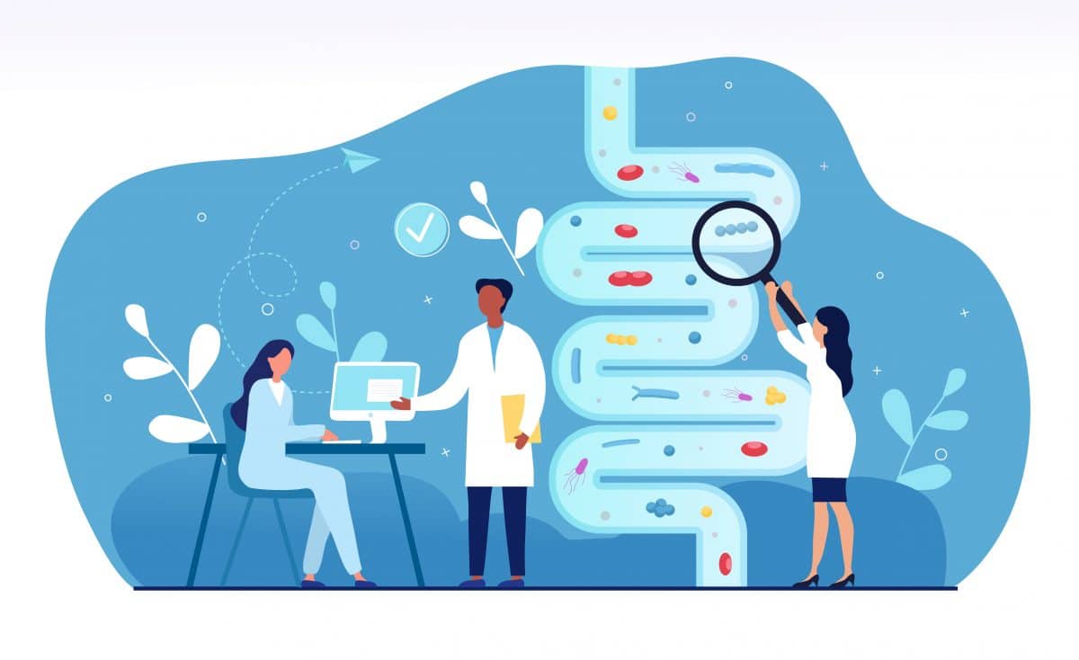 Dysbiose, inflammation et obésité