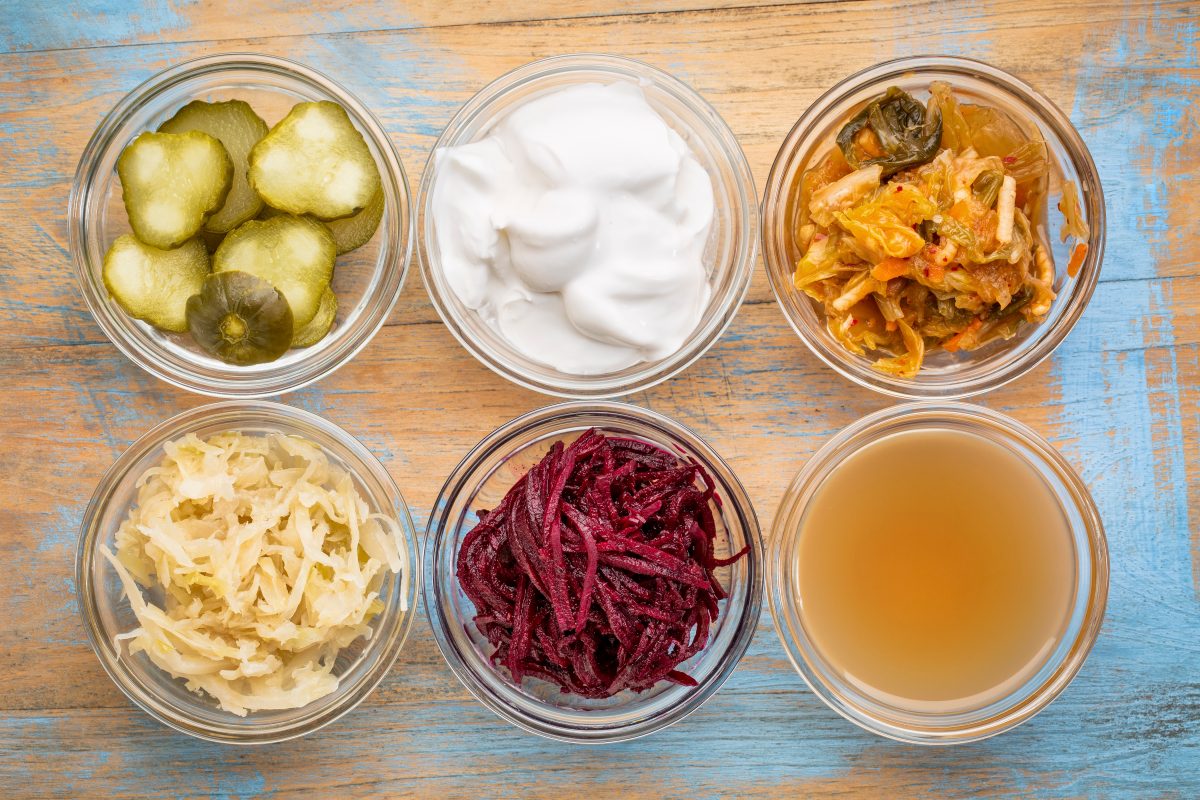 Effets des aliments et boissons fermentés sur la santé humaine
