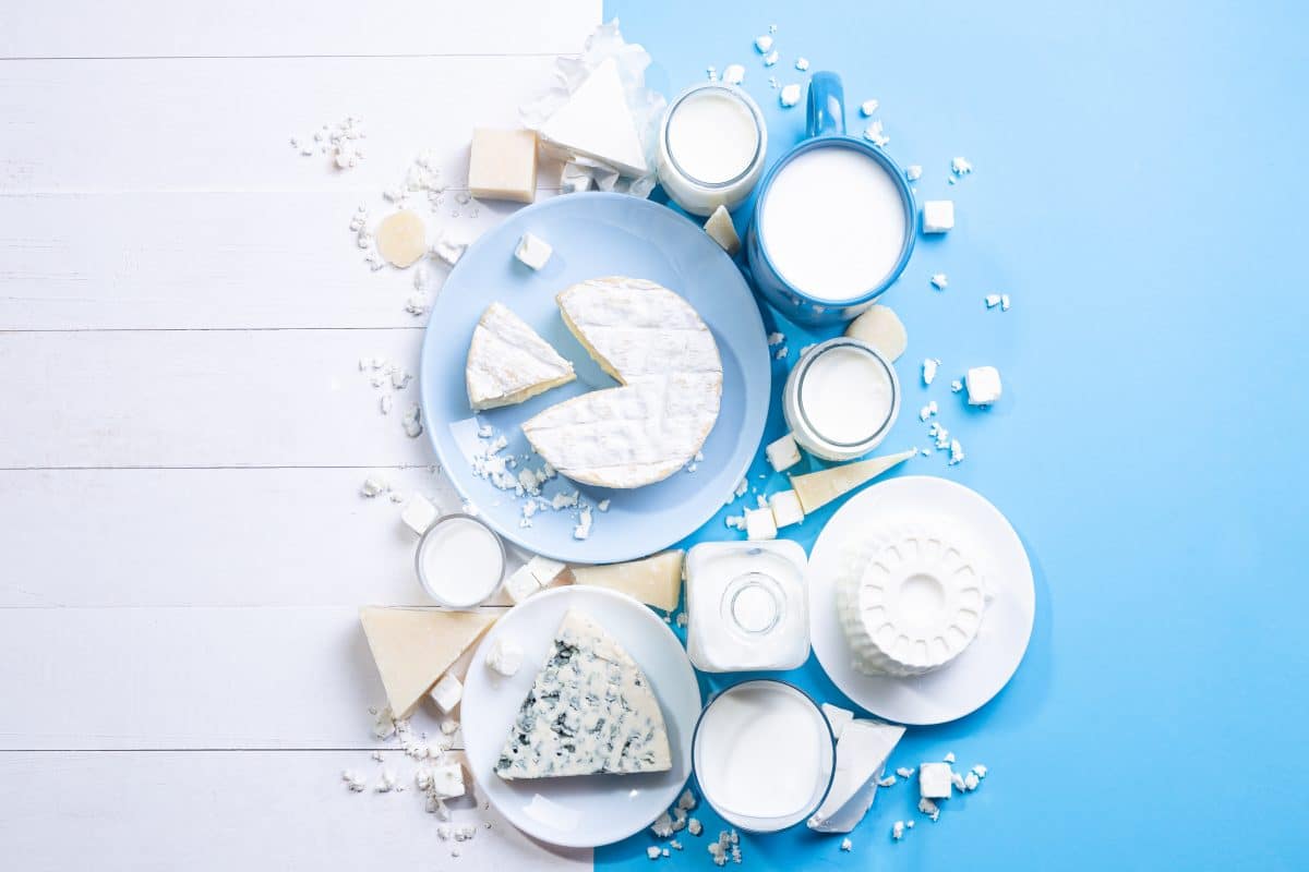 Le lait, un aliment essentiel selon la FAO