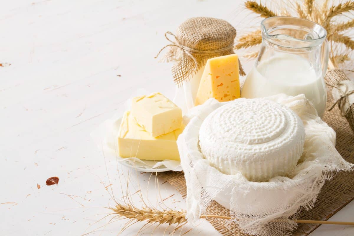 Produits laitiers fermentés et santé : un état des lieux